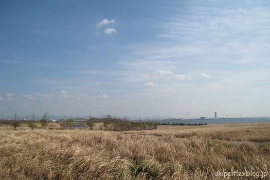 c0134734_1440427.jpg