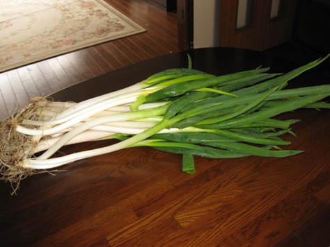 f0190942_13352165.jpg
