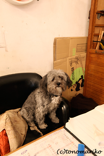 c0024345_1823889.jpg