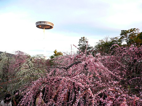 c0057946_18264739.jpg