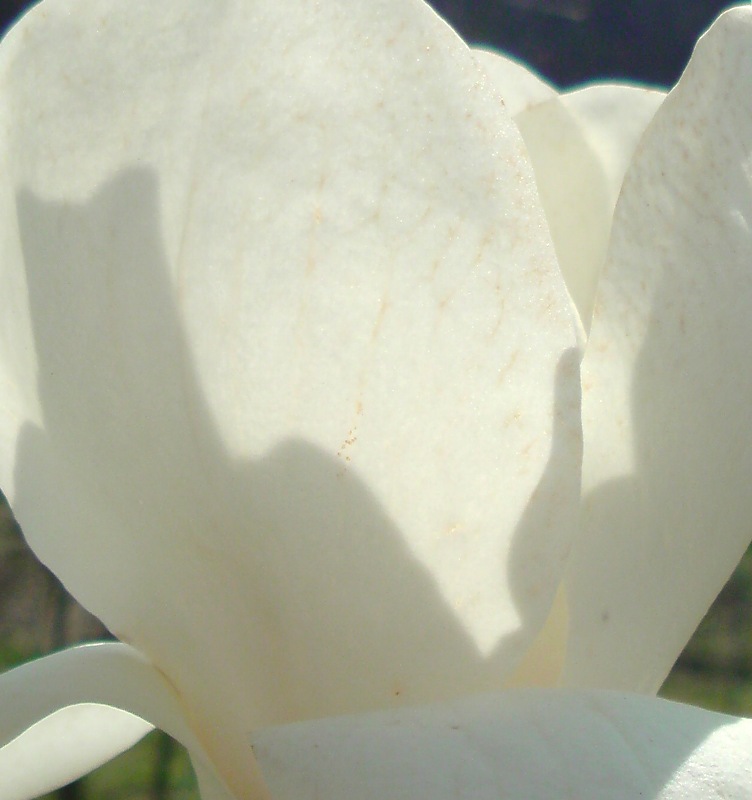 c0189747_16542369.jpg