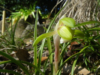 e0069647_12232151.jpg