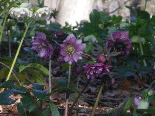 e0069647_12244770.jpg