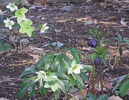e0069647_12245517.jpg