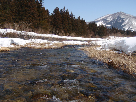 b0177355_21385989.jpg