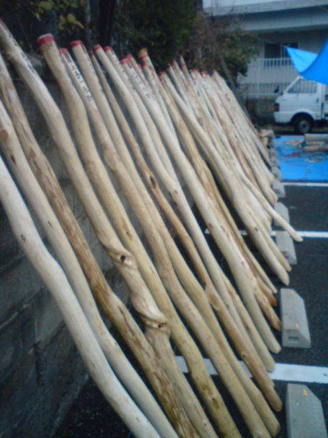 f0051256_23495955.jpg