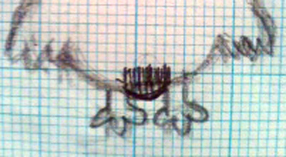c0185657_4321290.jpg