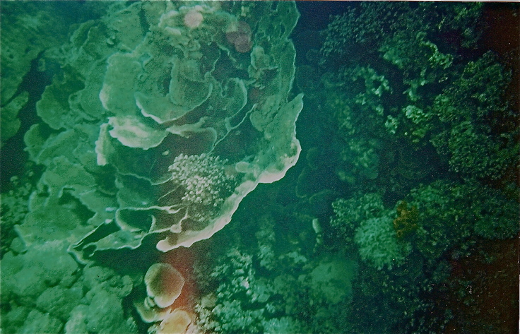b0047958_17205733.jpg