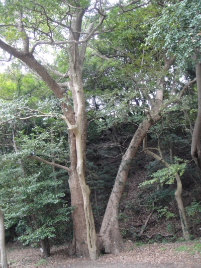 c0108460_23555697.jpg