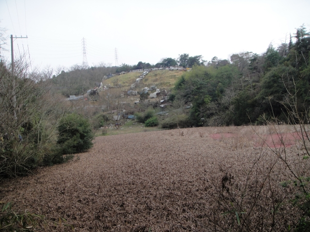 c0108460_23593396.jpg