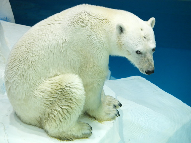 c0186760_21331554.jpg