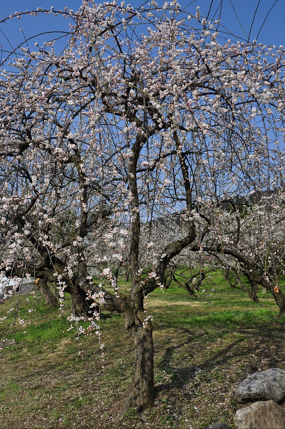 f0222161_23295829.jpg
