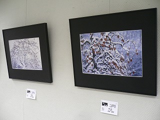 f0106664_79209.jpg