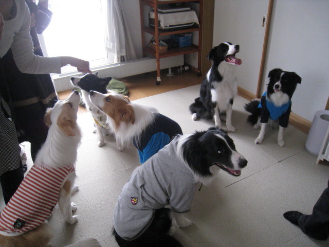 c0210571_10404050.jpg