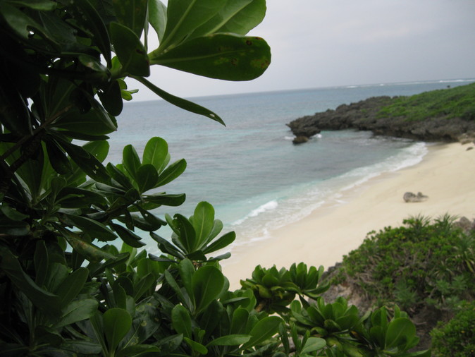 b0174079_16322459.jpg