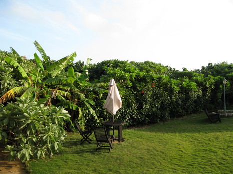 b0174079_17304387.jpg
