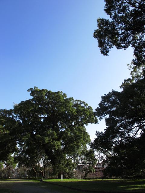 e0132881_21511361.jpg