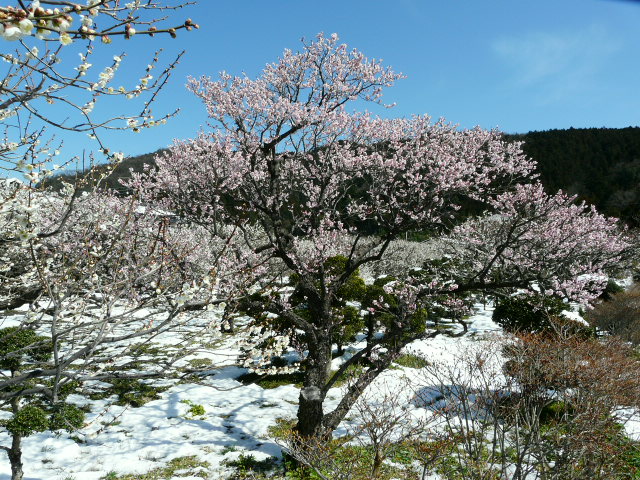 e0145782_15112363.jpg