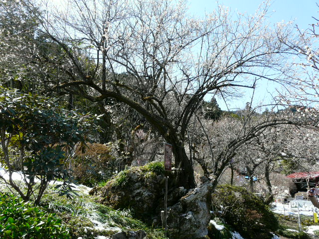 e0145782_15133616.jpg