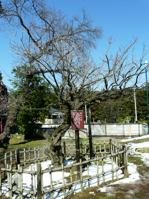 e0145782_15141864.jpg