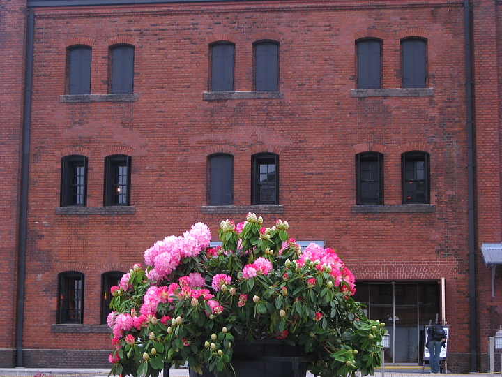 f0164989_04429.jpg