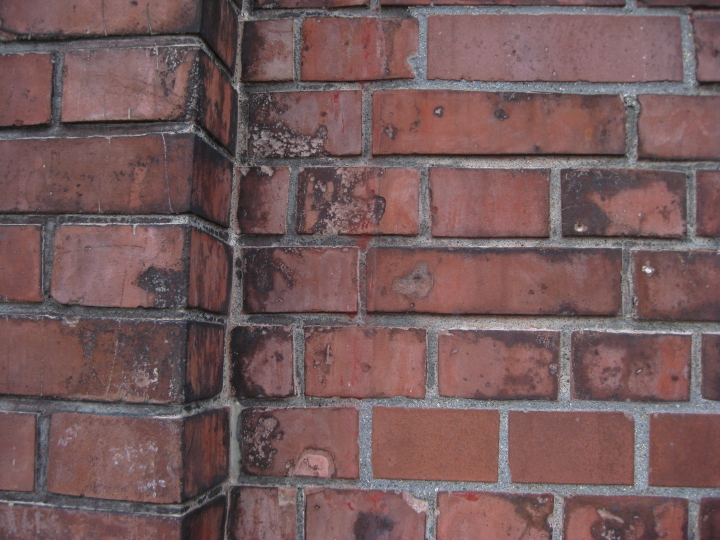 f0164989_045872.jpg