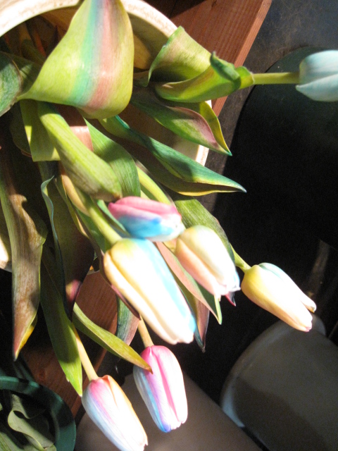 e0126094_15121525.jpg