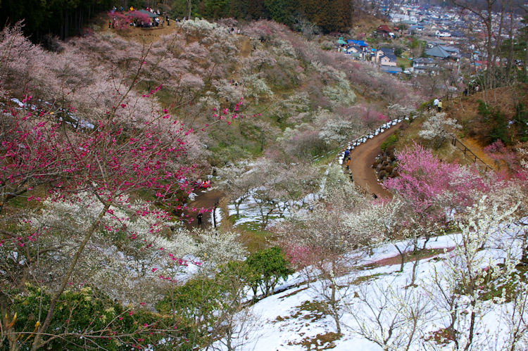 c0061695_2303644.jpg