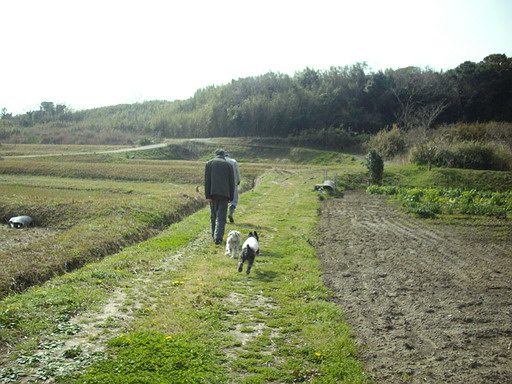 c0138198_12235344.jpg