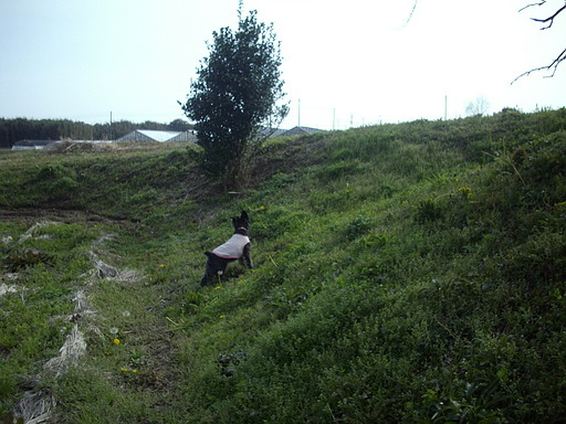 c0138198_12331860.jpg