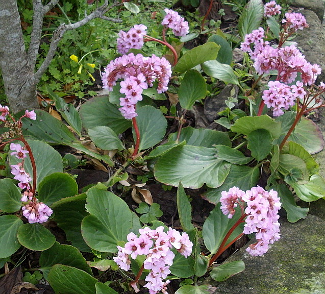 c0138198_12552496.jpg