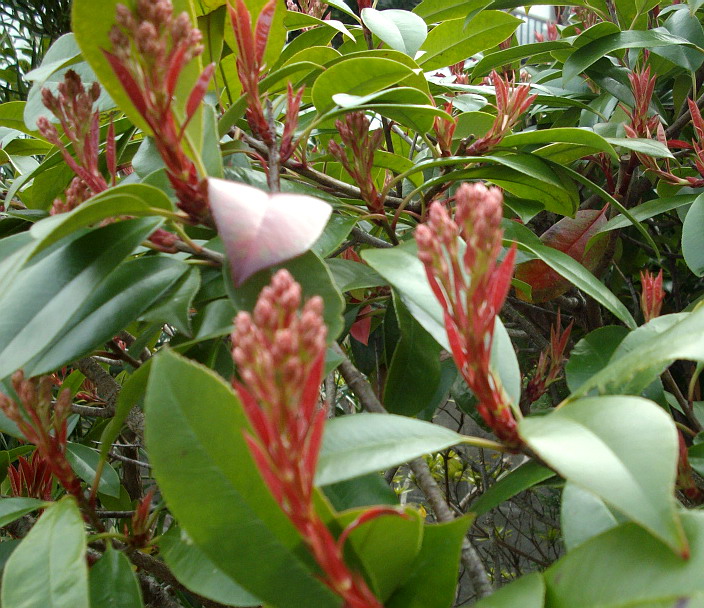 c0138198_13262.jpg
