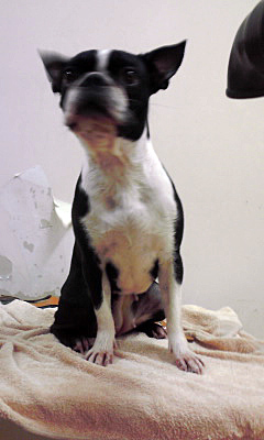 d0070702_22424368.jpg
