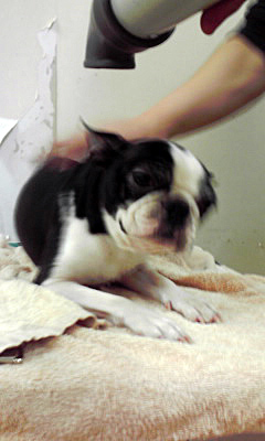 d0070702_2242538.jpg