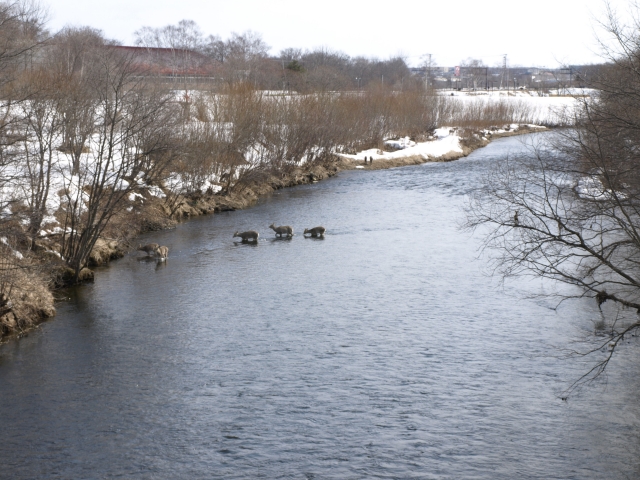 f0020302_2251328.jpg