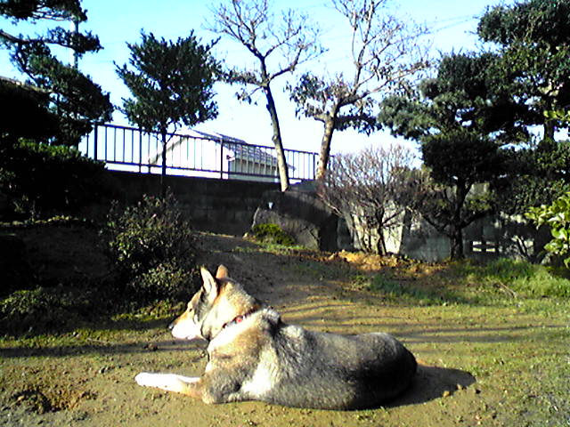 f0079202_1995325.jpg