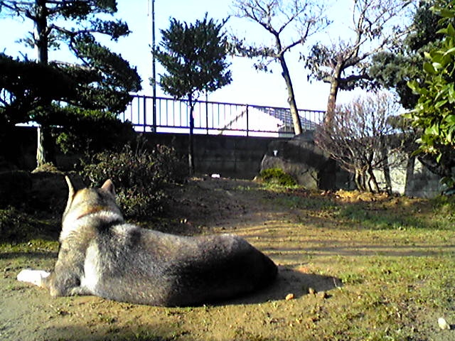 f0079202_1995366.jpg