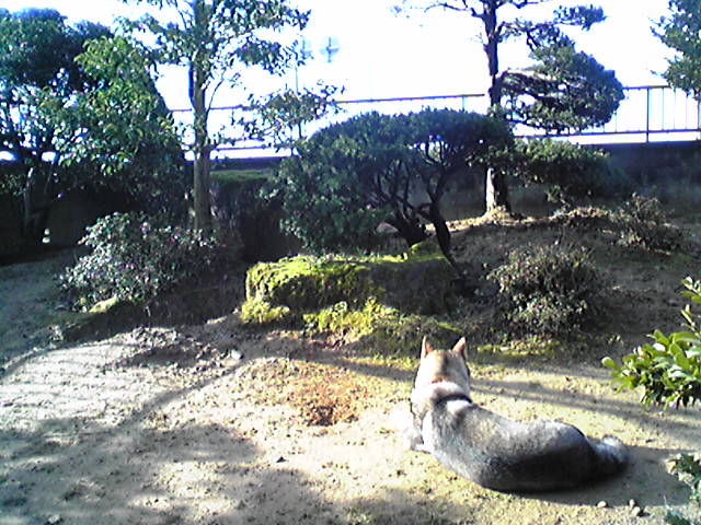 f0079202_1995395.jpg