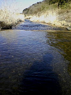 f0164503_2003126.jpg