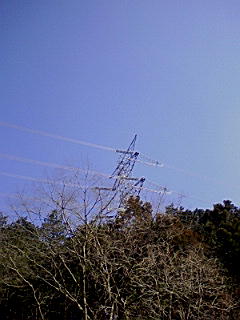 f0164503_2023474.jpg
