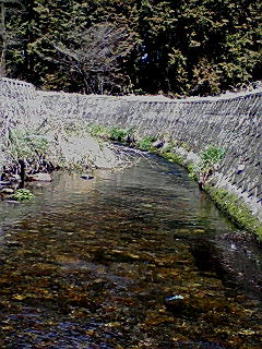 f0164503_20264450.jpg