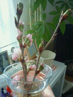 c0017505_12173078.jpg