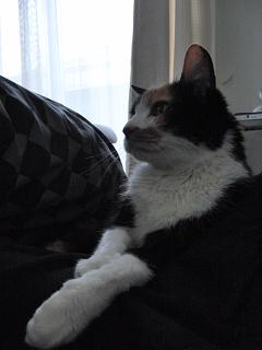 c0201113_21184048.jpg