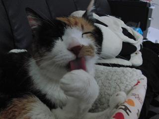 c0201113_21201231.jpg