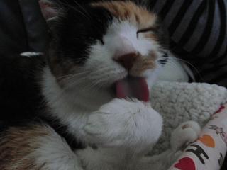 c0201113_21203164.jpg
