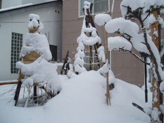 f0192117_20561968.jpg