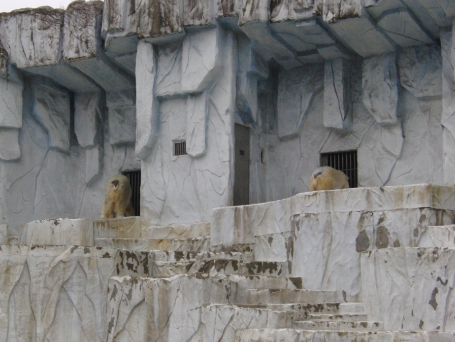 e0163618_2231164.jpg