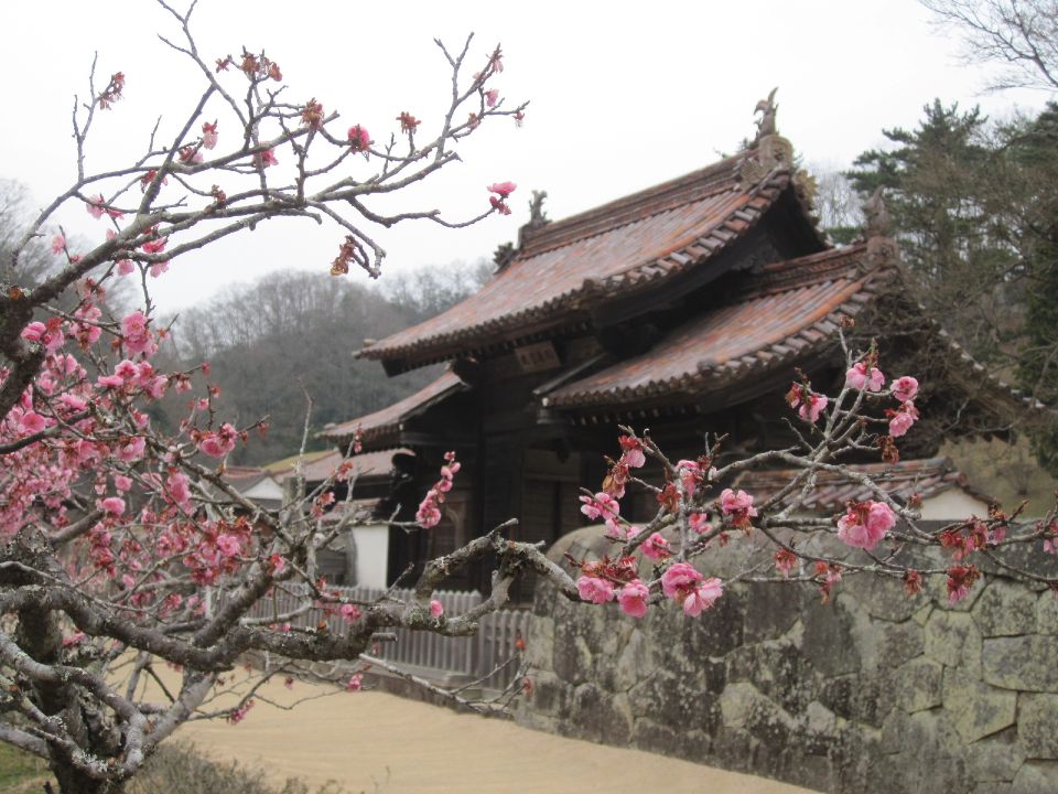 c0225420_16292528.jpg