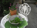 f0139520_21456100.jpg