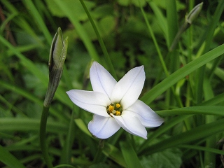 f0139520_22243150.jpg